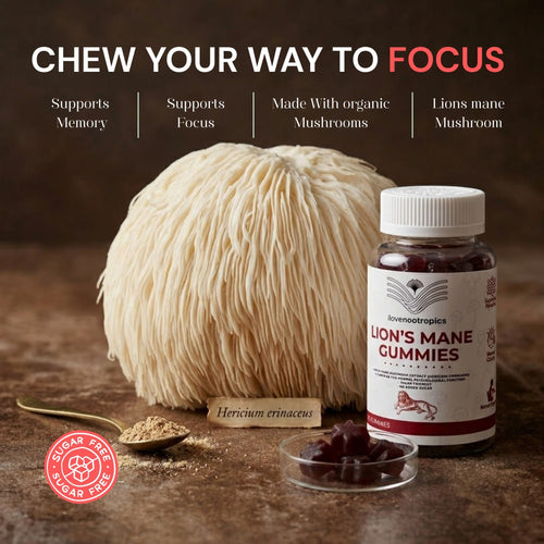 Lion's Mane Gummies — 60 Vegan Gummies | Sugar-Free | With Vitamin B6