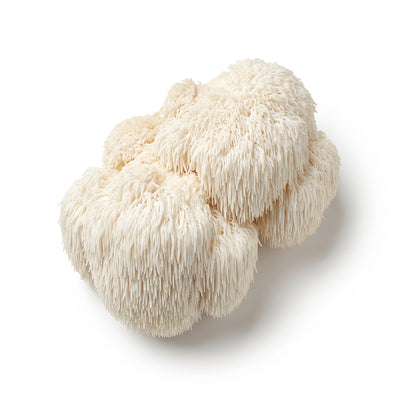 Lion's Mane